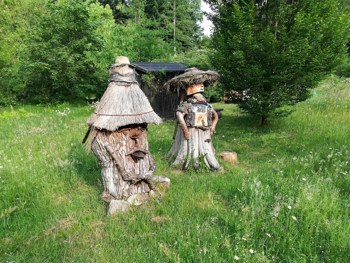 Arboretum SGGW w Rogowie
