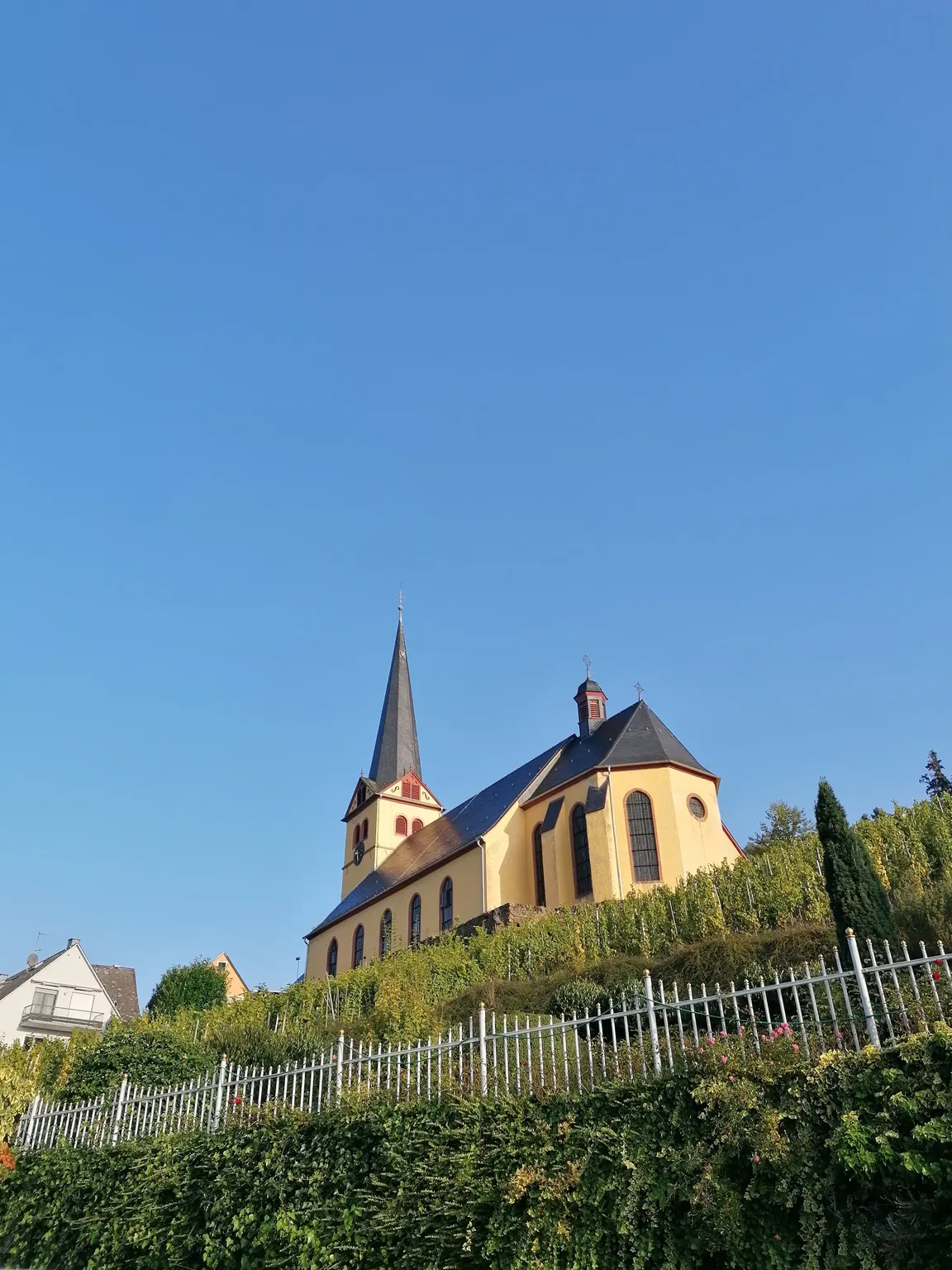 Sortengarten Zeltingen
