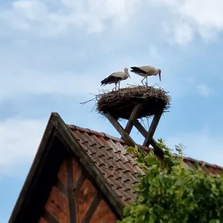 Heidekrug