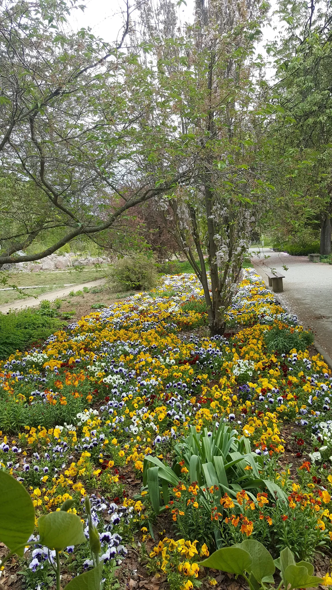 Johannes Gutenberg University Mainz Botanical Garden