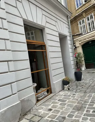 Cafe - Neko Wien Cats