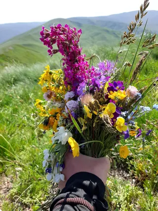 My Albania Nature Explorer
