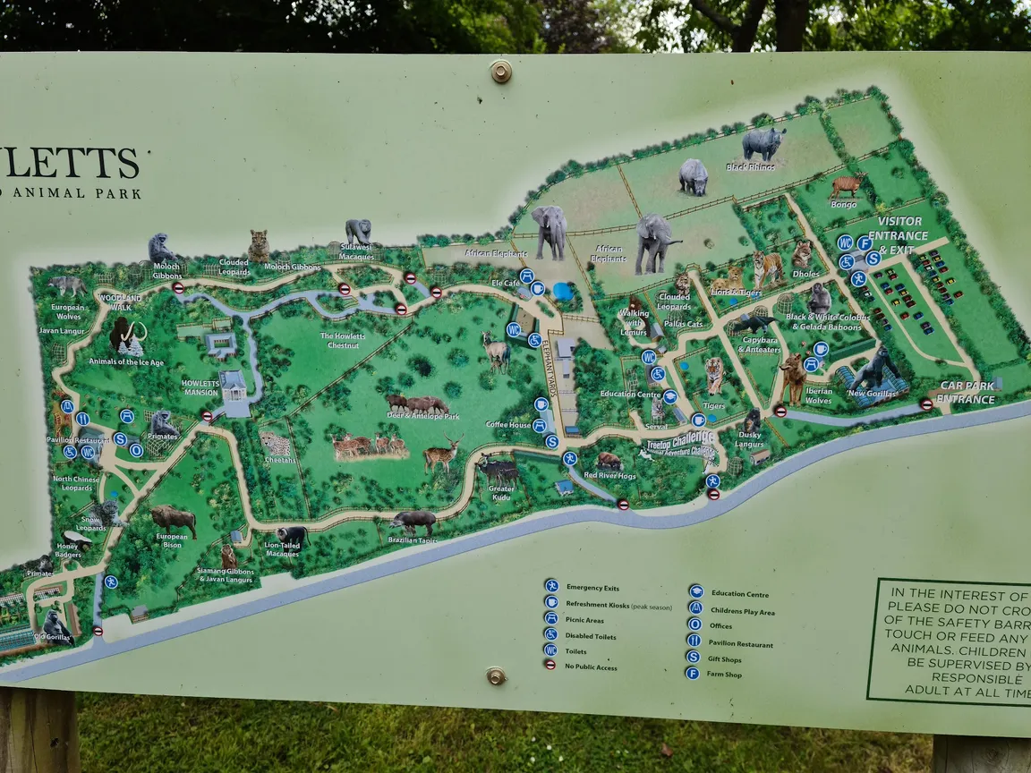 Howletts Wild Animal Park
