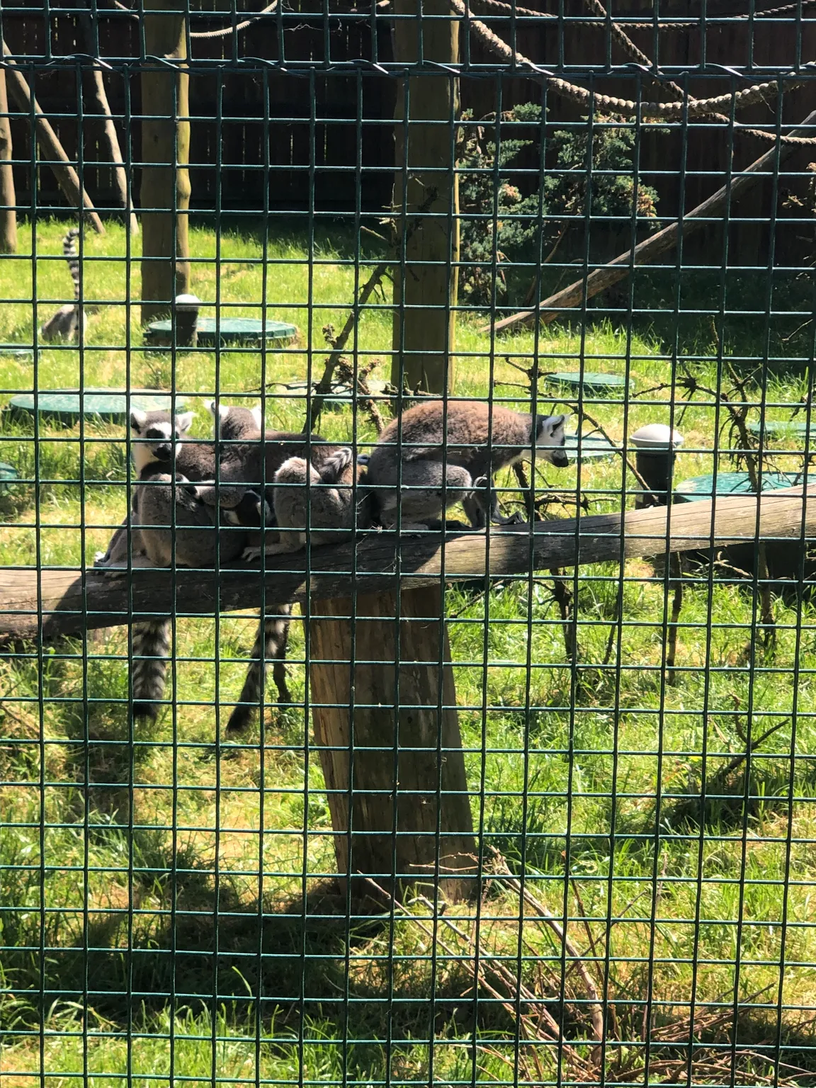 Zoo Wojciechów