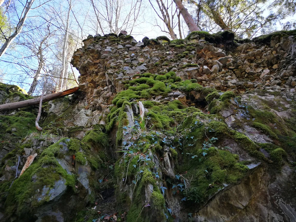Falkenstein Castle Ruins