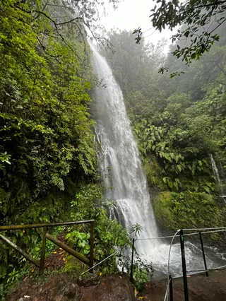 Madeira Natural Park