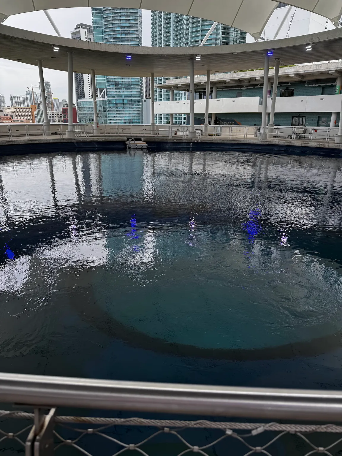 Shark exhibition at Frost Museum