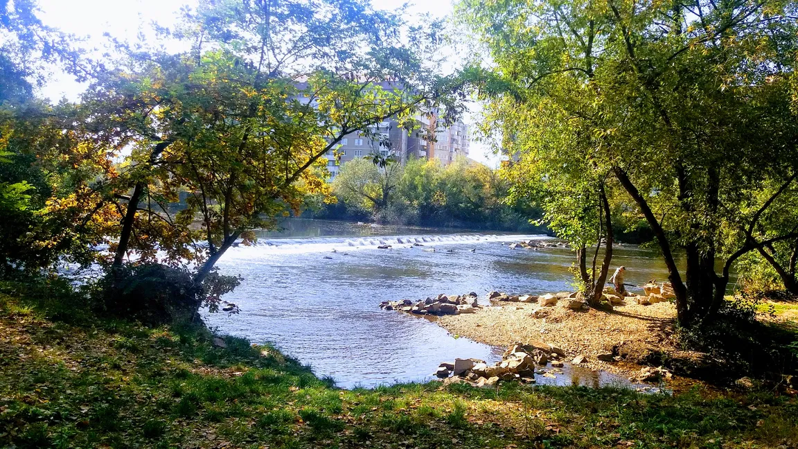 Silvas Park
