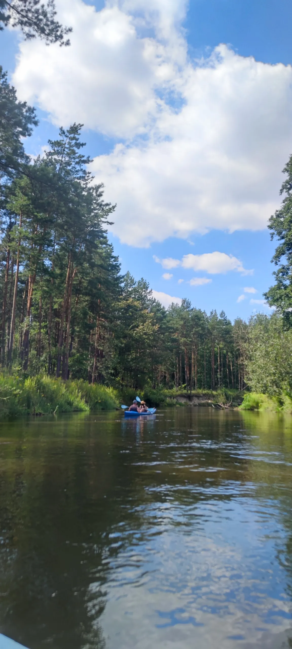 Spływy kajakowe