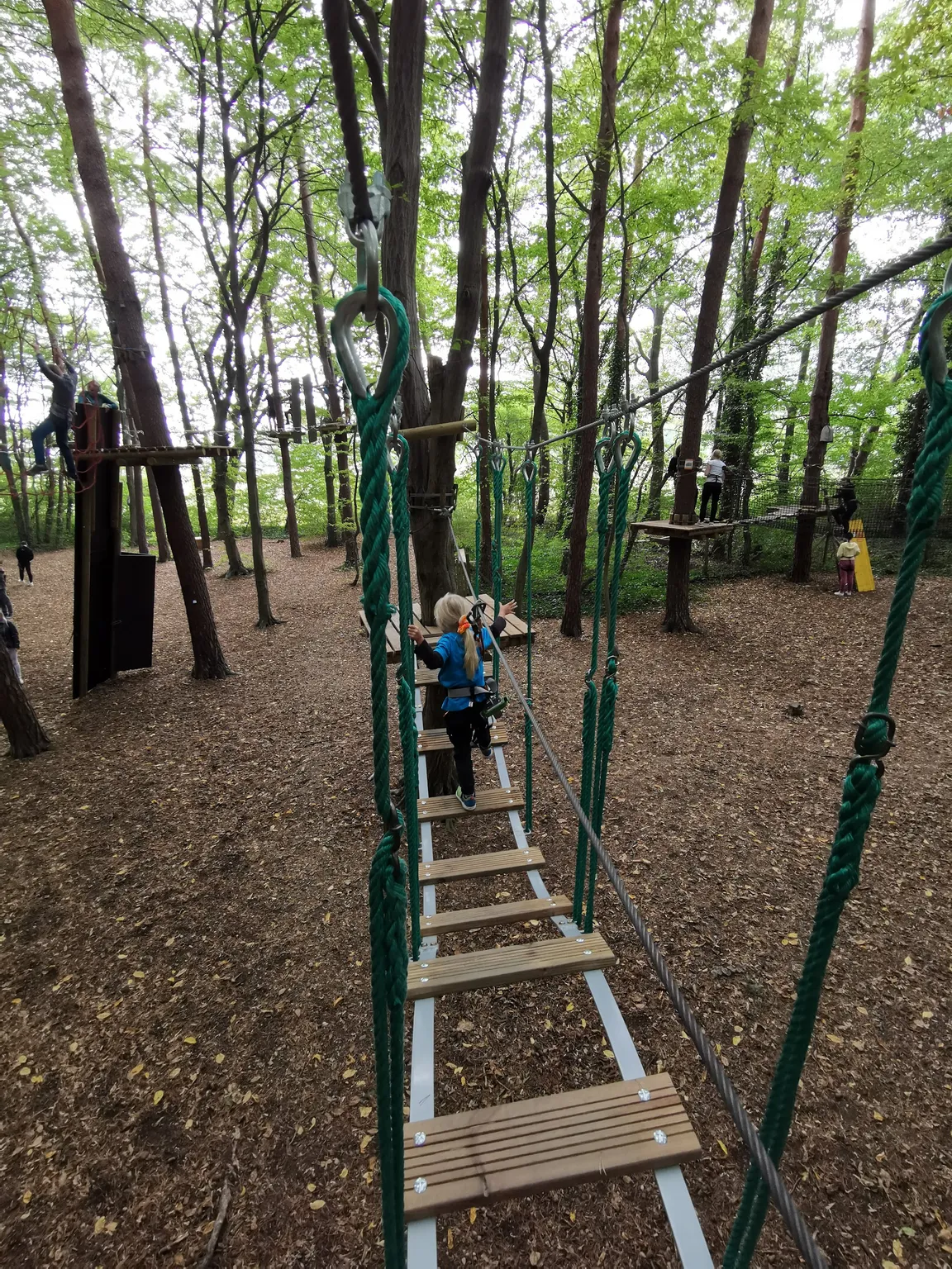 Pustolovski park Betnava