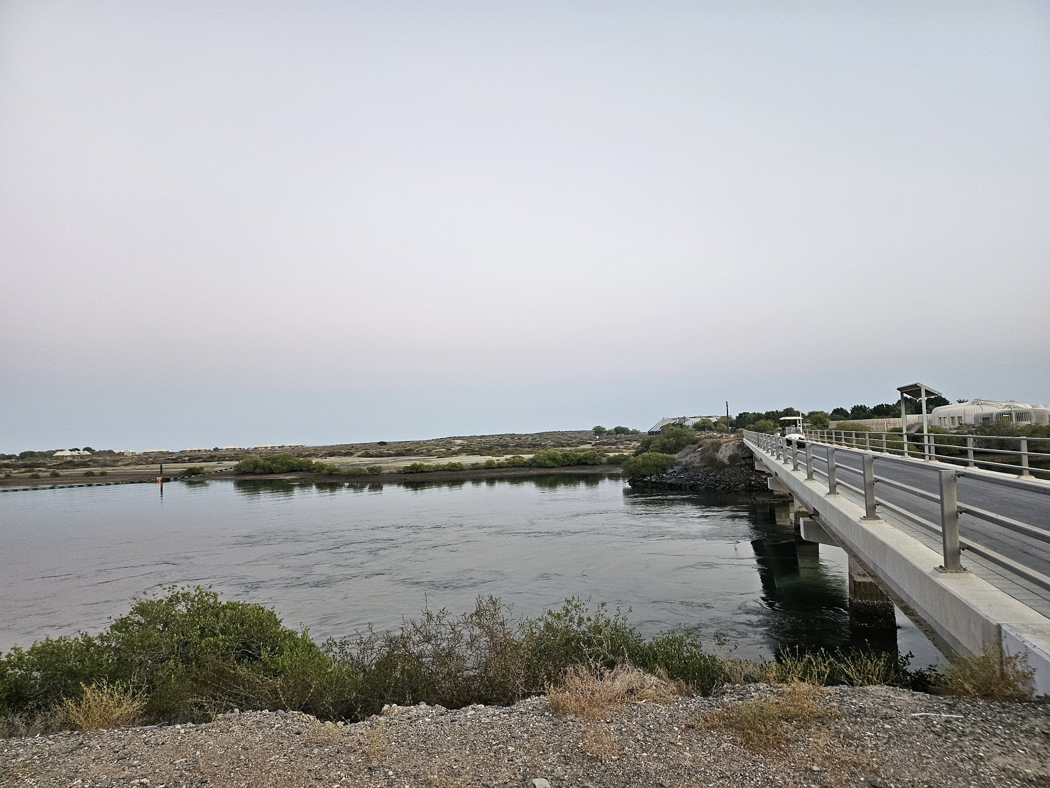 Khor Kalba Mangrove reserve | Hopsa