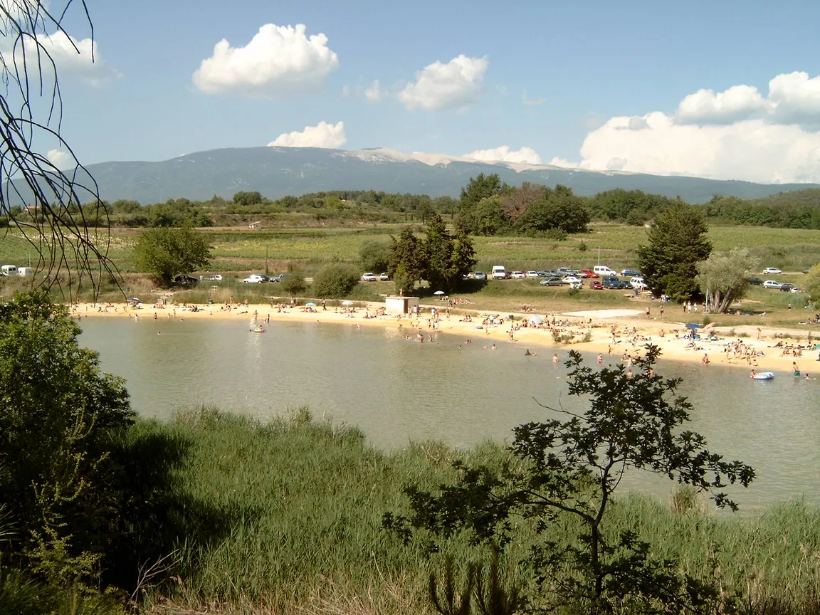 Ventoux Aventure - Accrobranche, location de trottinettes électriques tout terrain et escape game outdoor