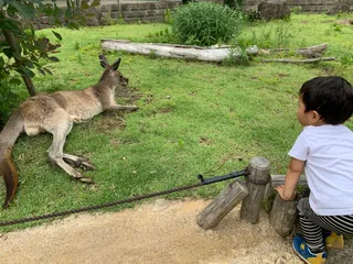 Kanazawa Zoological Gardens