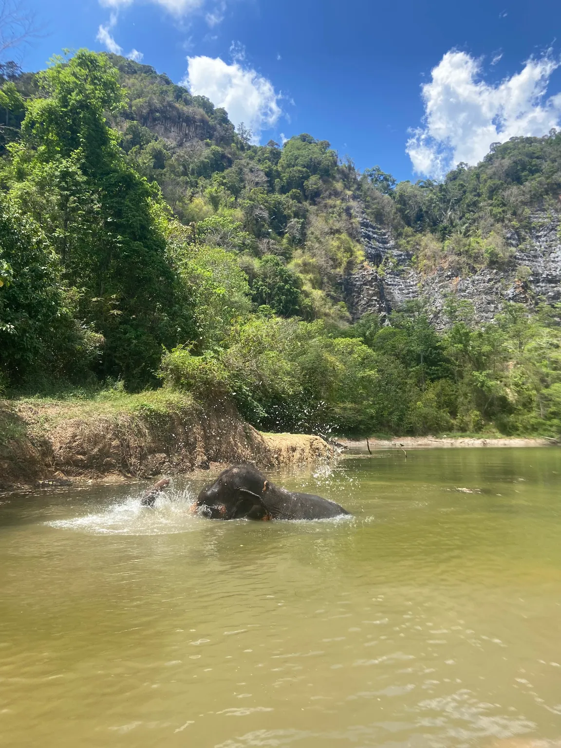 Krabi Elephant Green Sanctuary