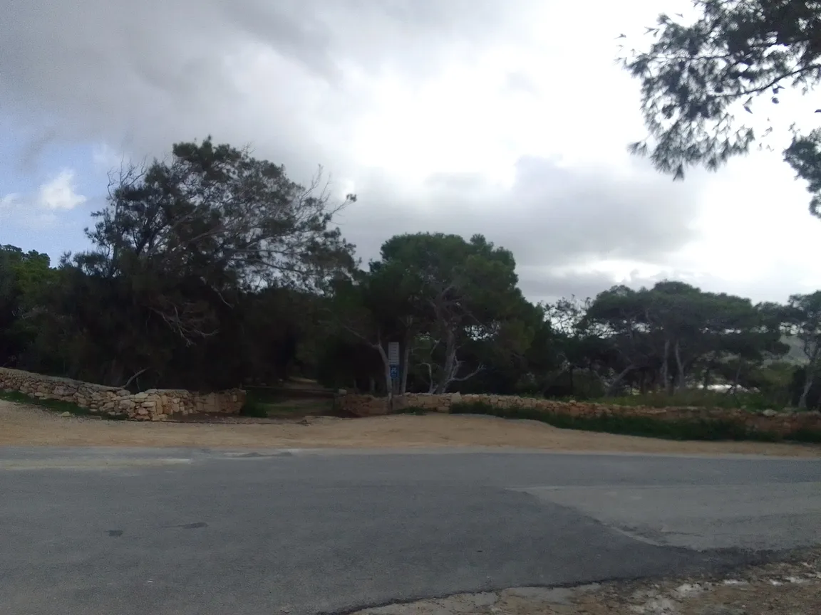 Picnic Area