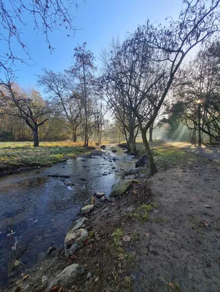 Hundeauslauffläche, Freilauf Im Sulzbach Park