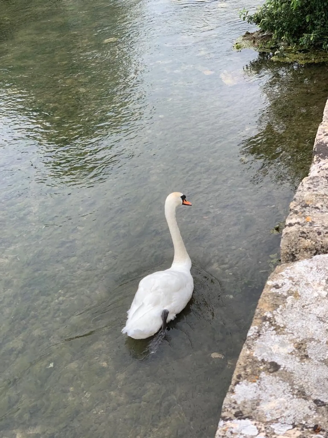 National Trust - Bibury