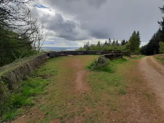 Blaize Bailey Viewpoint
