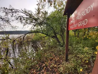 Rezerwat przyrody Brzozowy Grąd