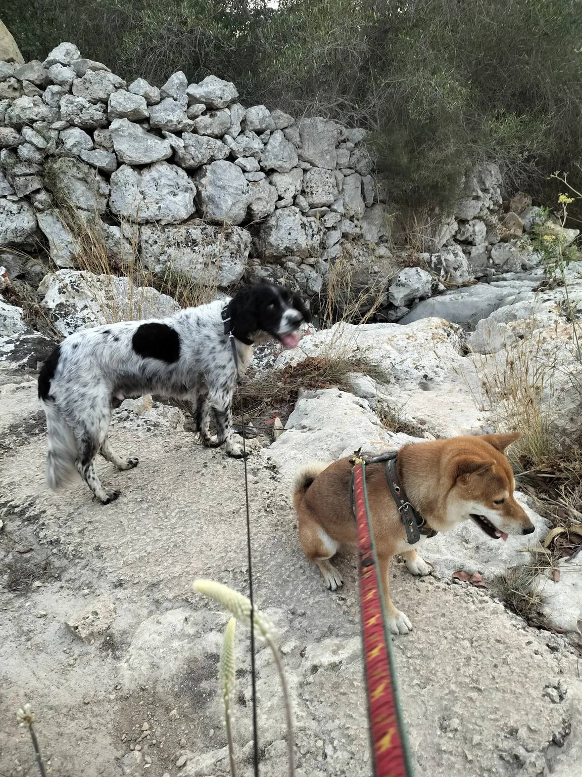 Heritage Trail