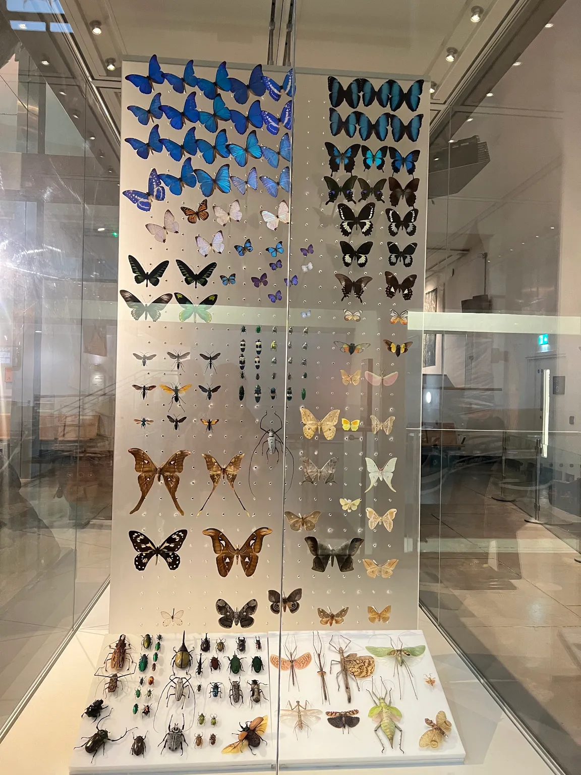 Ulster Museum