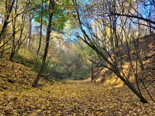 Stanowisko Piaskowca