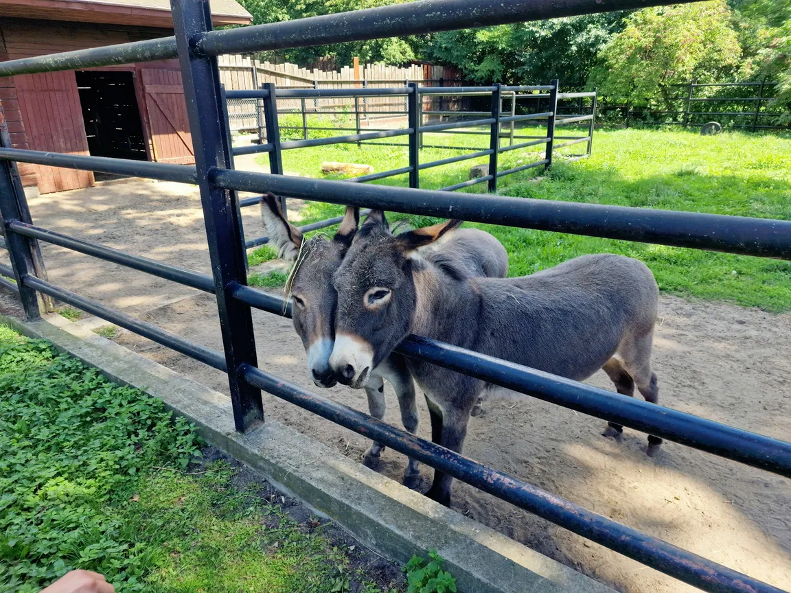 Ogród Zoobotaniczny w Toruniu