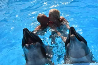 Dolphin World Egypt