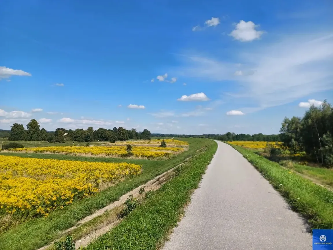 Wiślana Trasa Rowerowa - WTR 60 km do Krakowa