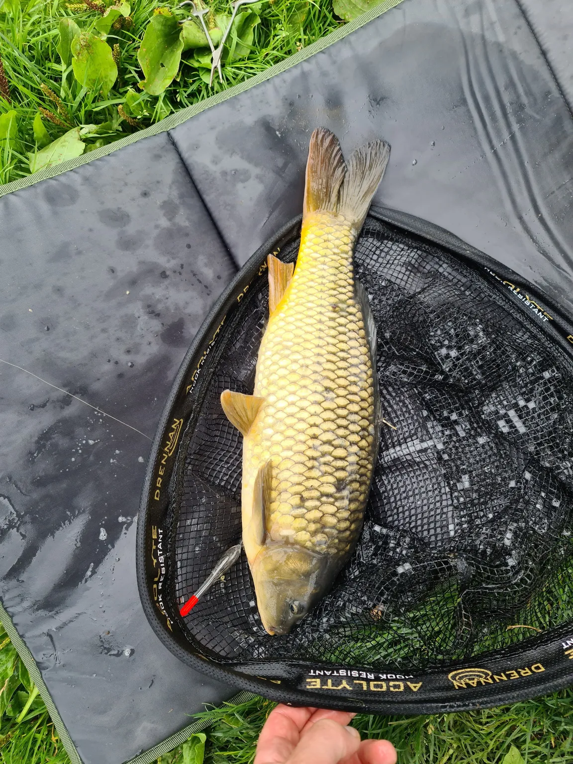 Alders Farm Fishery