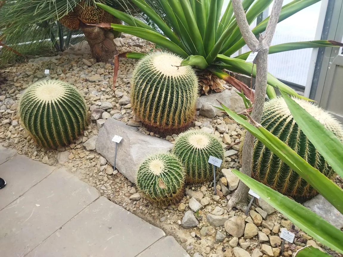 BOT Botanical Garden