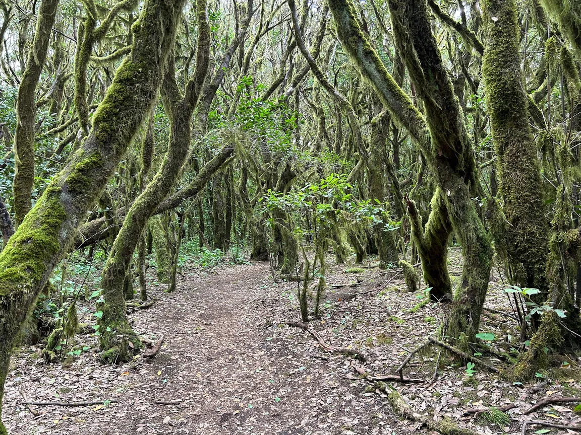 Ipalan Trekking La Gomera