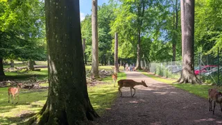 Marselisborg Deer Park