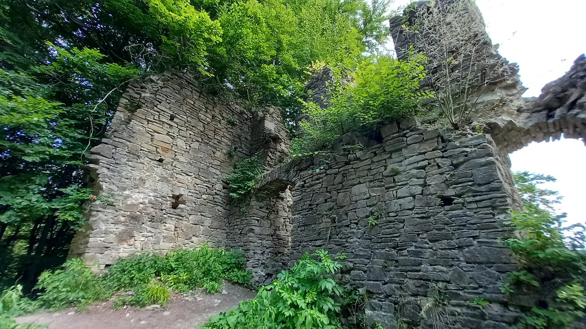 Zamek Sobień (ruiny)