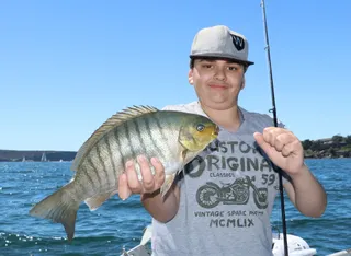 Fishabout Sydney Harbour