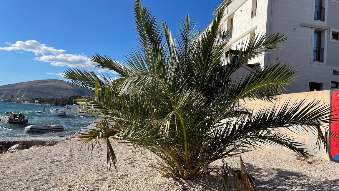 Marinova Draga Beach