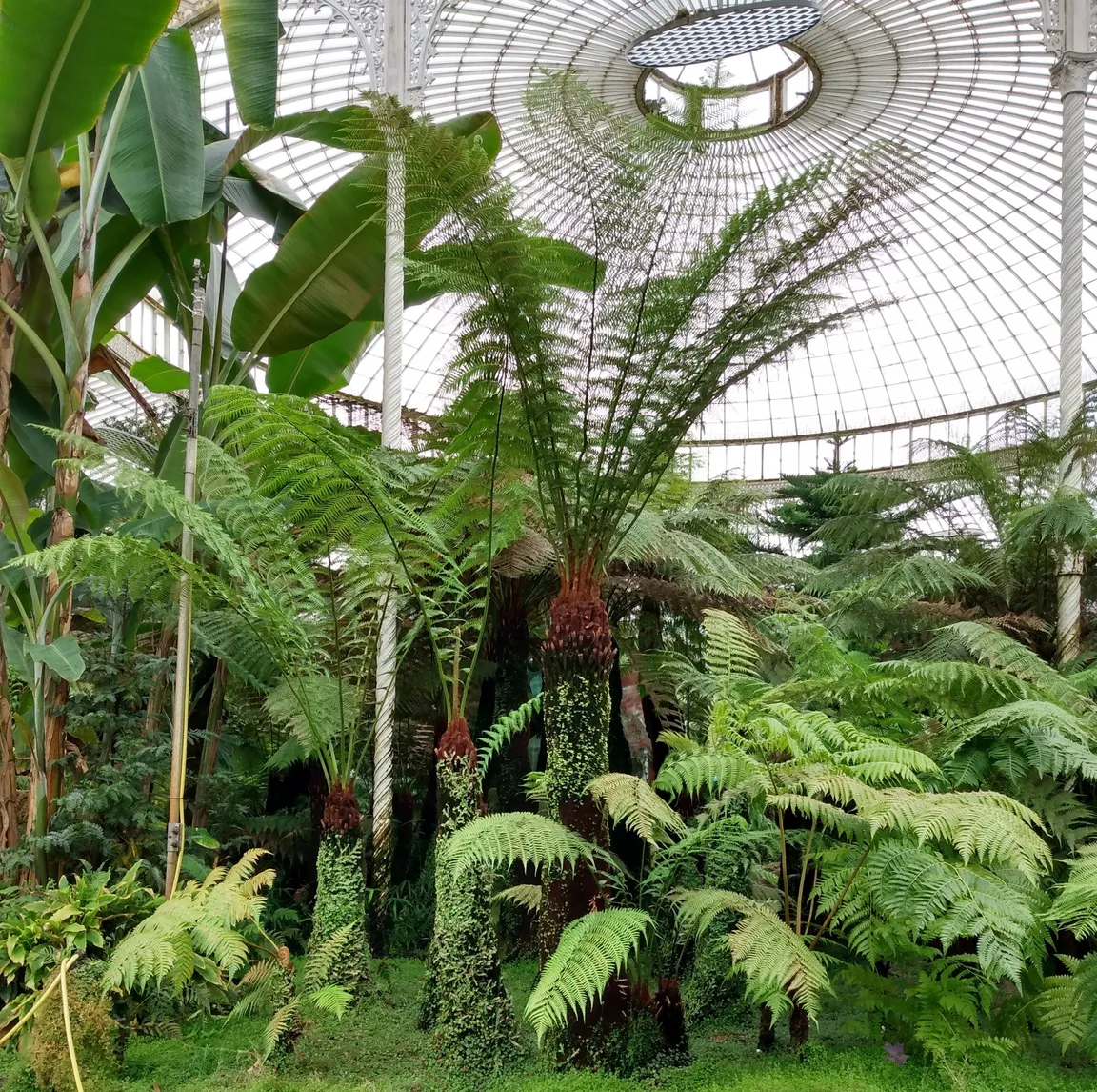 Kibble Palace