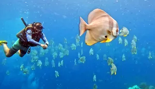 "Deep Life"