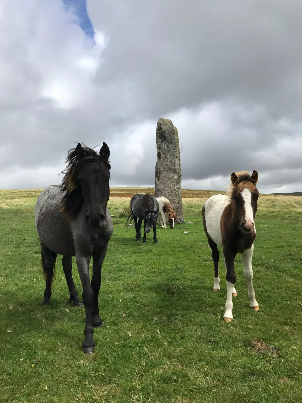 Drizzlecombe