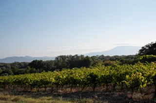 Domaine de Gigognan