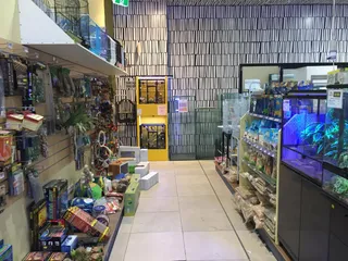 Auburn Aquarium and Terrarium