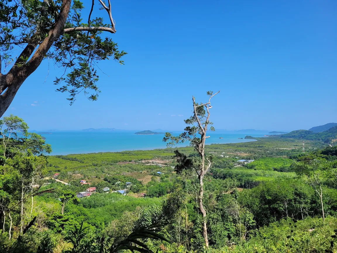 Viewpoint On The Bay