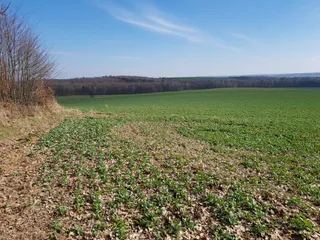 Chełmiec