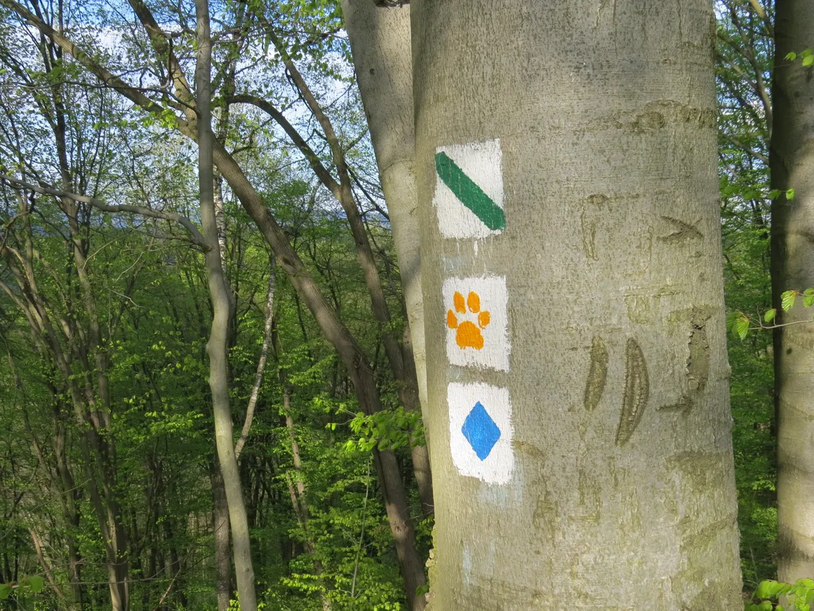 Rezerwat przyrody Koziniec