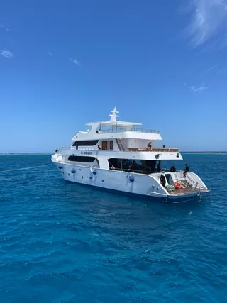 Dive in Marsa