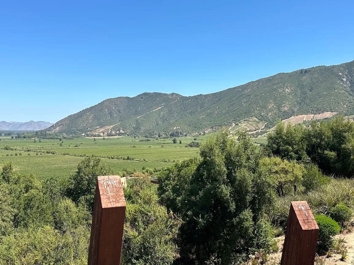Clos Apalta Winery