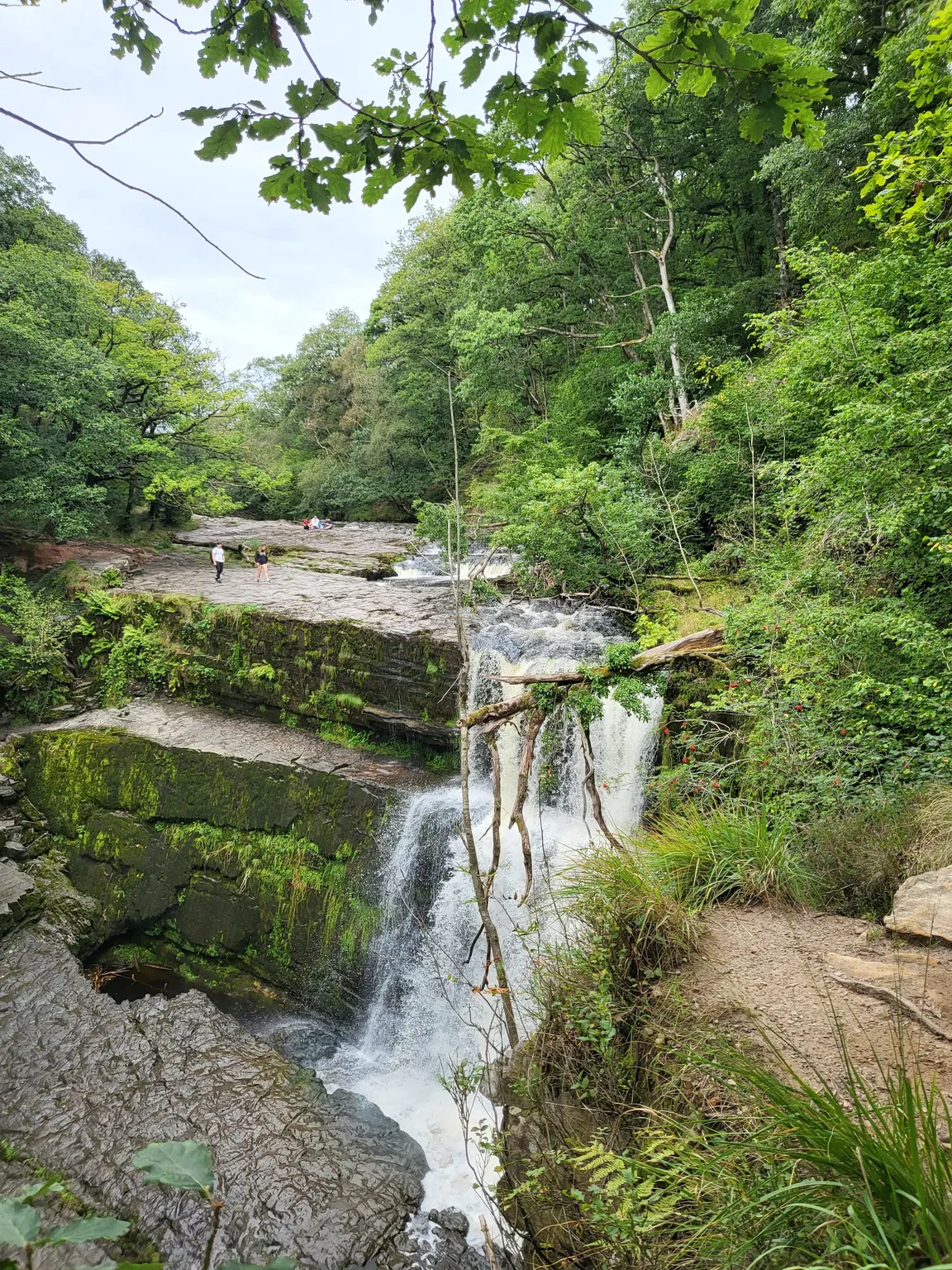 Waterfall Country