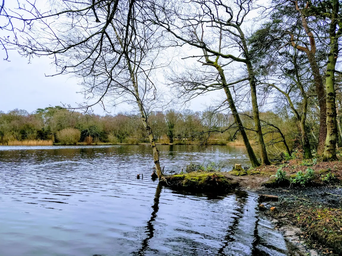 Petersfield Heath & Pond/Lake