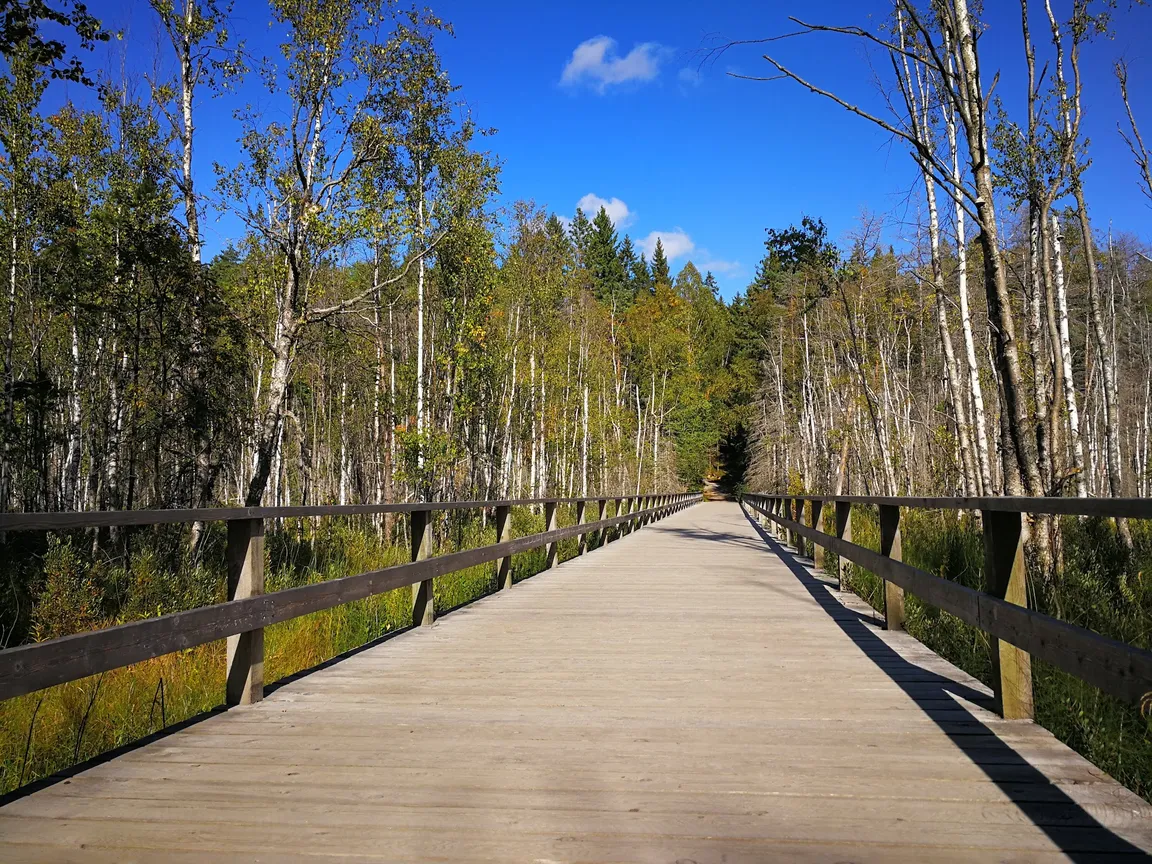 Park Narodowy Tyresta