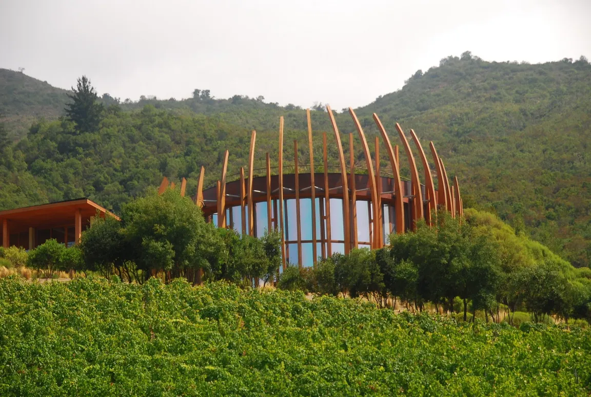Clos Apalta Winery